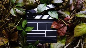 Grüne Filmproduktion